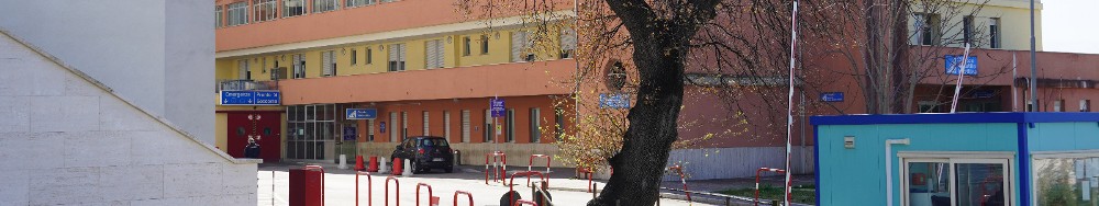 Tumore del pancreas e resistenza ai farmaci, pubblicato studio realizzato a Chieti