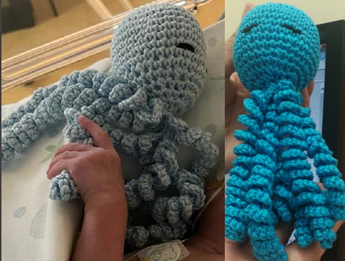 Octopus therapy, polipetti morbidi donati alla terapia intensiva neonatale dell’ospedale di Chieti