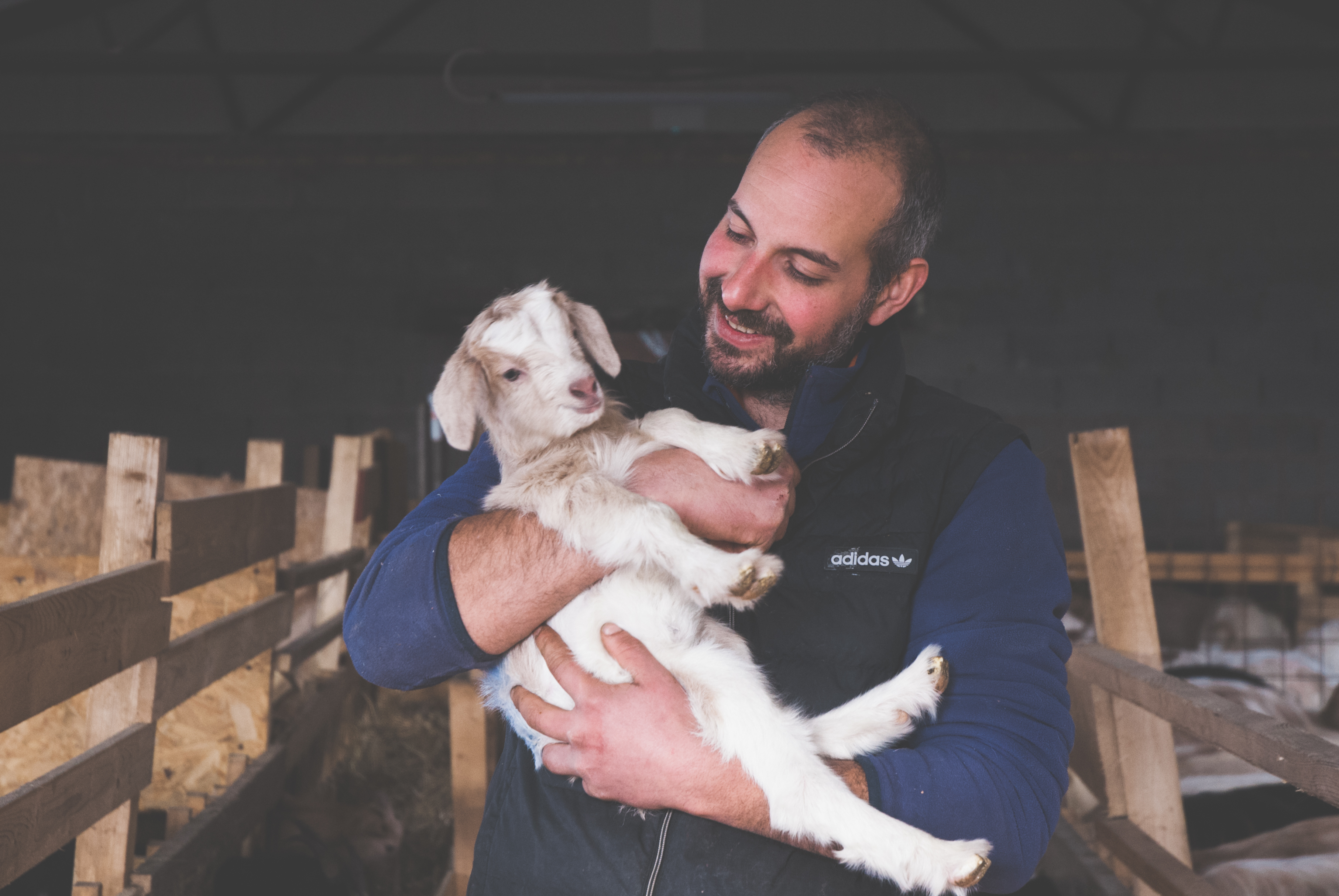 Covid-19, il pastore ha mantenuto la promessa. Donato alla Asl il ricavato della vendita di Pasqua