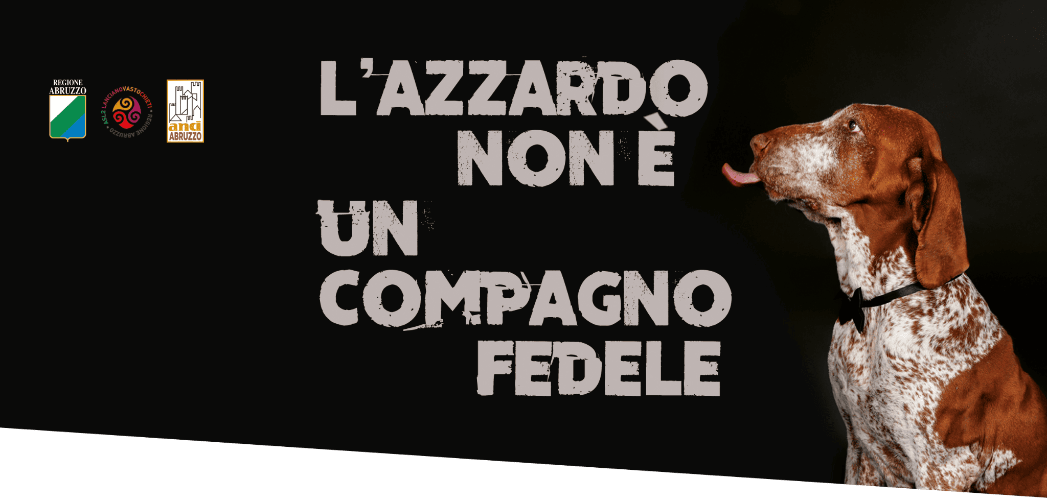 L’azzardo non è un compagno fedele